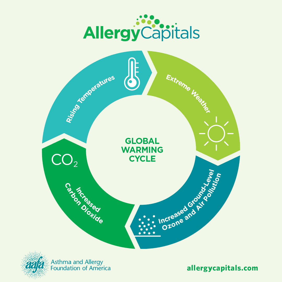 A picture of the global warming cycle - The global warming cycle results in increased air pollution and makes pollen growing seasons longer, which can impact people with asthma and seasonal allergies.